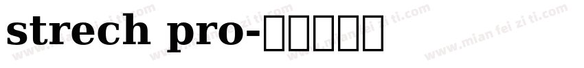 strech pro字体转换